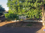 DJI_0704